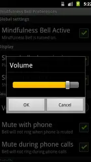 Mindfulness Bell capture 1