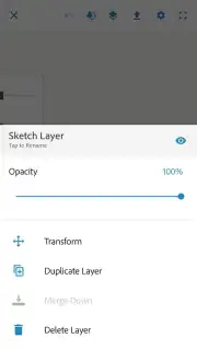 Adobe Photoshop Sketch capture 7