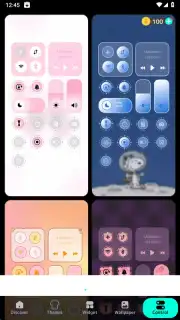 WidgetKit capture 18