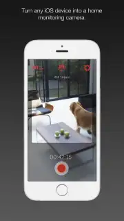 Manything capture 5