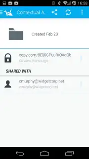 Copy capture 4