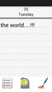 Diary capture 7
