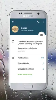Via Messenger - Unofficial Telegram App capture 12