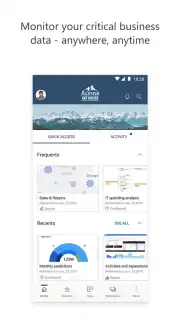 Microsoft Power BI capture 1