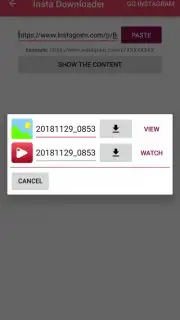 Advanced Downloader capture 8