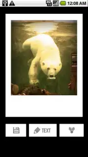 Polaroid PoGo App capture 2