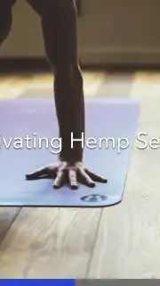 Yoga | Down Dog capture 2