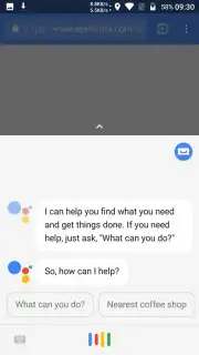 Google Assistant capture 9