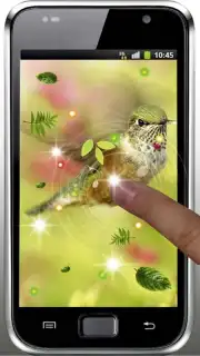 Colibri Spring 3D LWP capture 1