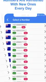 Temp Number - Virtual Number capture 1