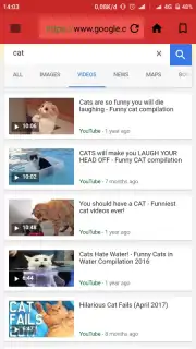 X Web Browser capture 1