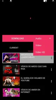 Flvto YouTube Downloader capture 3