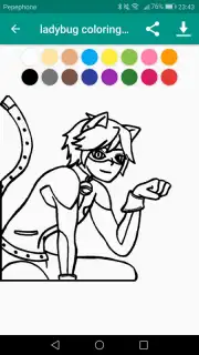 Coloring Ladybug & Blackcat capture 1