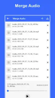 Video to MP3 Convert capture 1