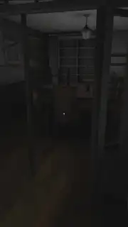 The Dark Internet capture 3