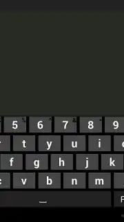 CodePad lite capture 2