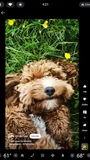 YouTube (Android Auto) capture 2