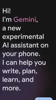 Google Gemini capture 1