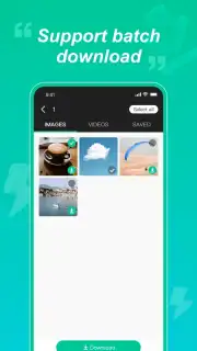 WAStatusGrabD capture 2