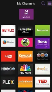 Roku capture 12