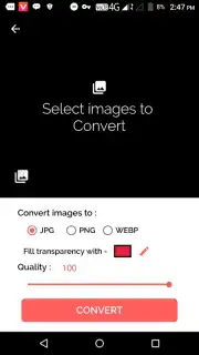 Best Image Converter Professional (Pro) capture 5