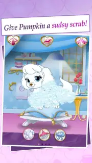 Palace Pets capture 8