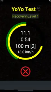 Yo-Yo Test capture 12