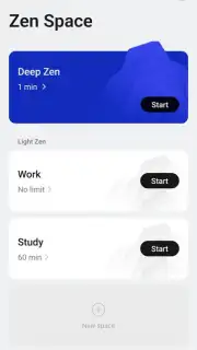 Zen Space capture 11