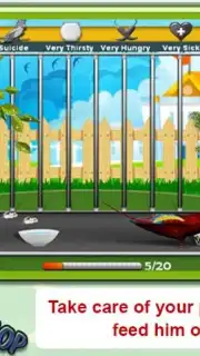Parrot Pet Shop capture 3