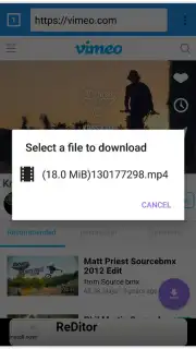 VIP Video downloader capture 4