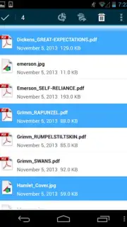 Adobe Acrobat Reader capture 4