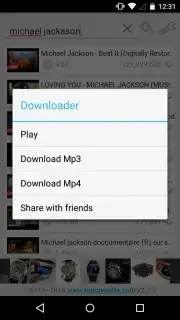 YouTube MP3 and MP4 Downloader capture 4