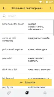 Yandex Translate capture 6