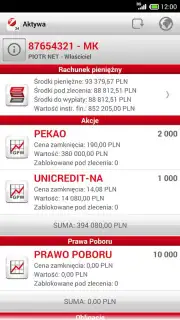 Bank Pekao capture 2