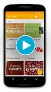 Google Slides capture 1