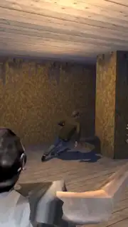 Play for Granny or Grandpa capture 8