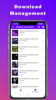 Downloader for Pinterest capture 2