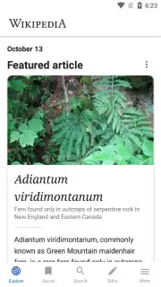 Wikipedia capture 5