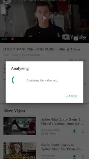 VidPaw App capture 5