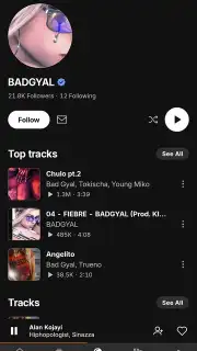 SoundCloud capture 19