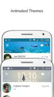 Темы capture 3