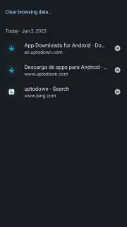 Kiwi Browser capture 4