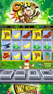 Crazy monkey slot capture 6