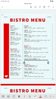 Microsoft Word capture 22