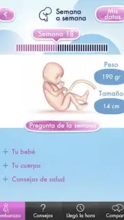 Mi Embarazo capture 4