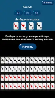 Дурак Помощник capture 2
