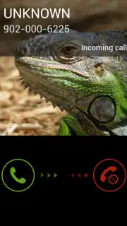Fake Call 2 capture 5