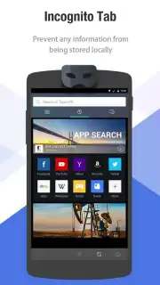 Браузер Internet capture 6