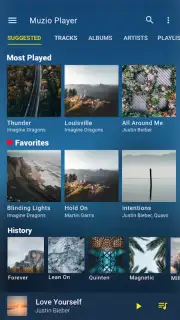 Muzio Music Player capture 3