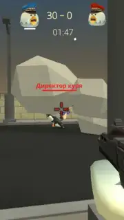 Chickens Gun capture 8
